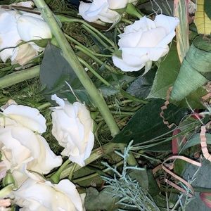 Meet your Posher, Vincent